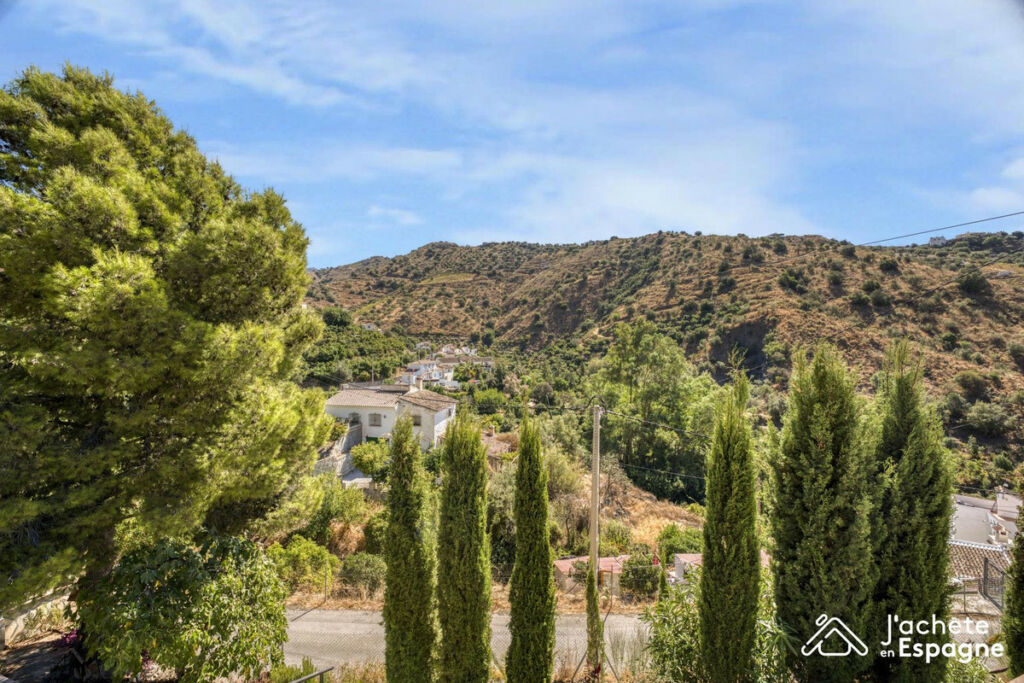 Detached Villa Canillas de Aceituno Málaga - image 42
