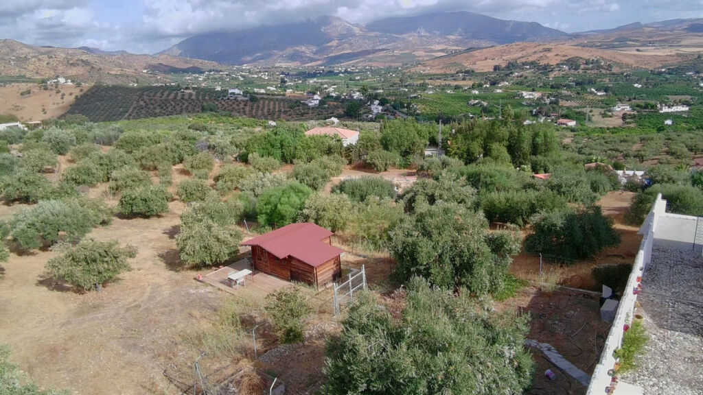 Finca - Cortijo Alora Málaga - image 42