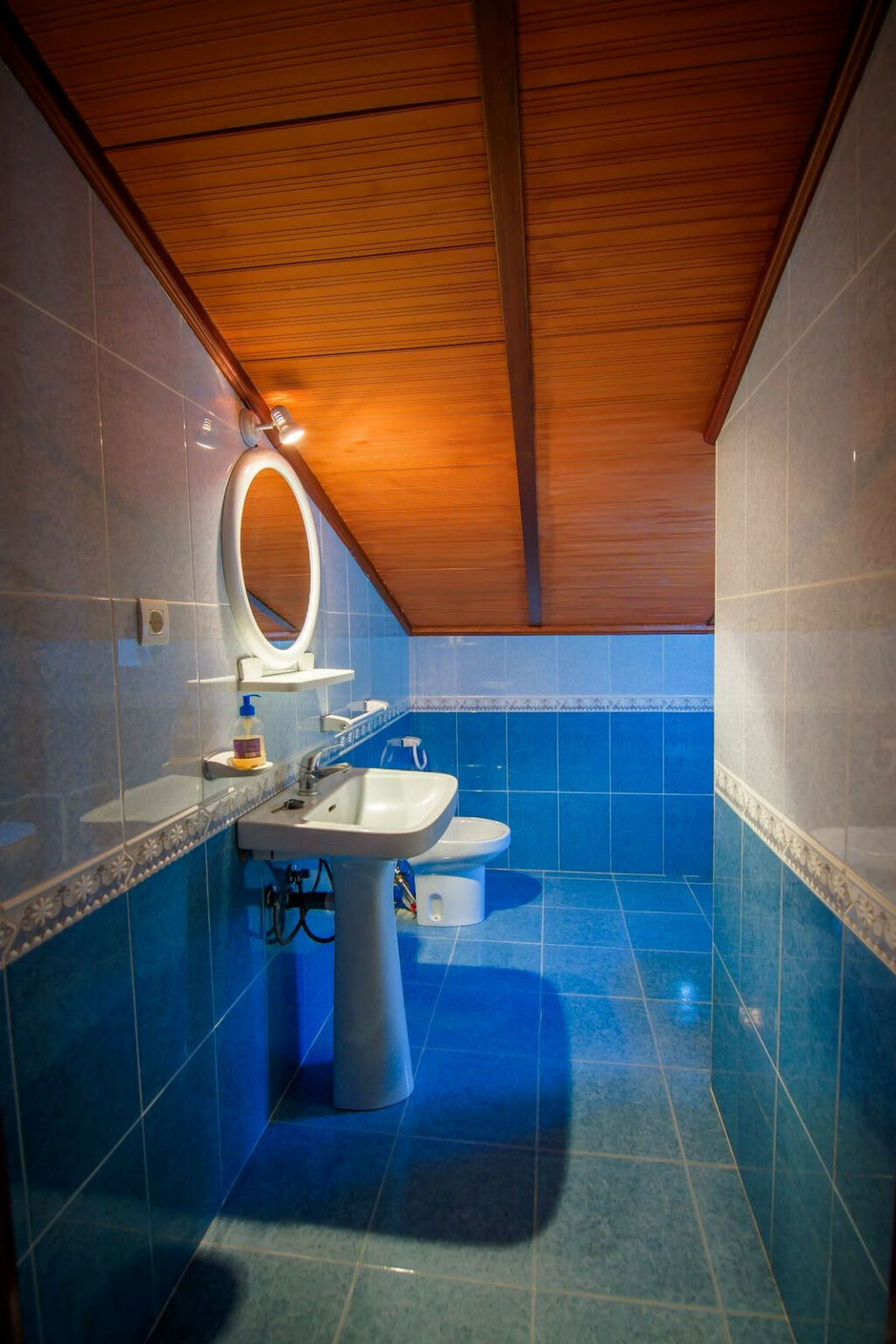 Detached Villa Ronda Málaga - image 42