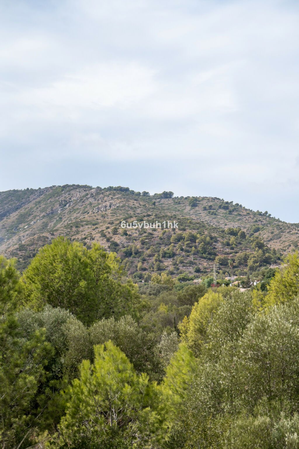 Detached Villa Málaga Málaga - image 43