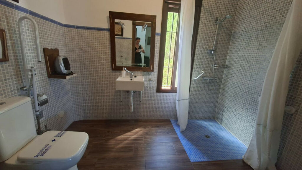 Detached Villa Arriate Málaga - image 43