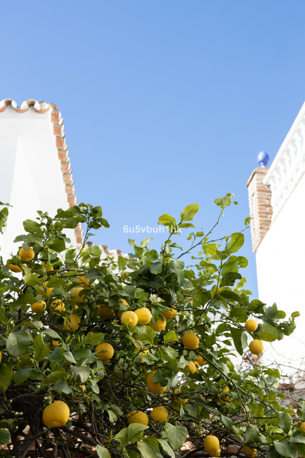 Detached Villa Mijas Málaga - image 43