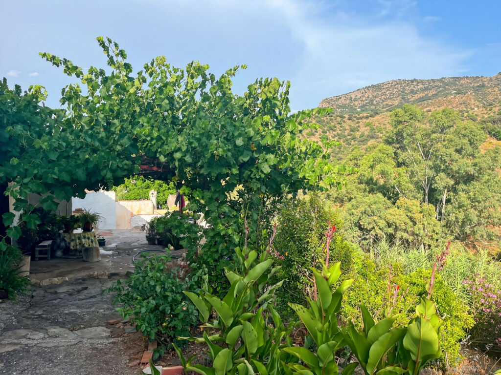 Finca - Cortijo Comares Málaga - image 43