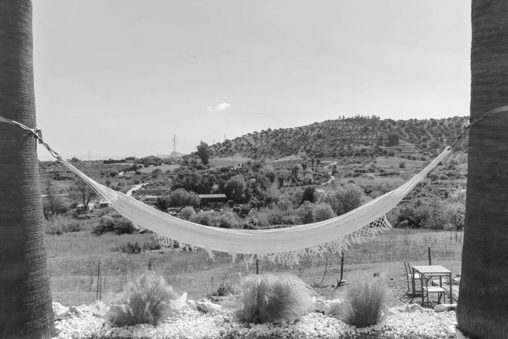 Detached Villa Coín Málaga - image 43
