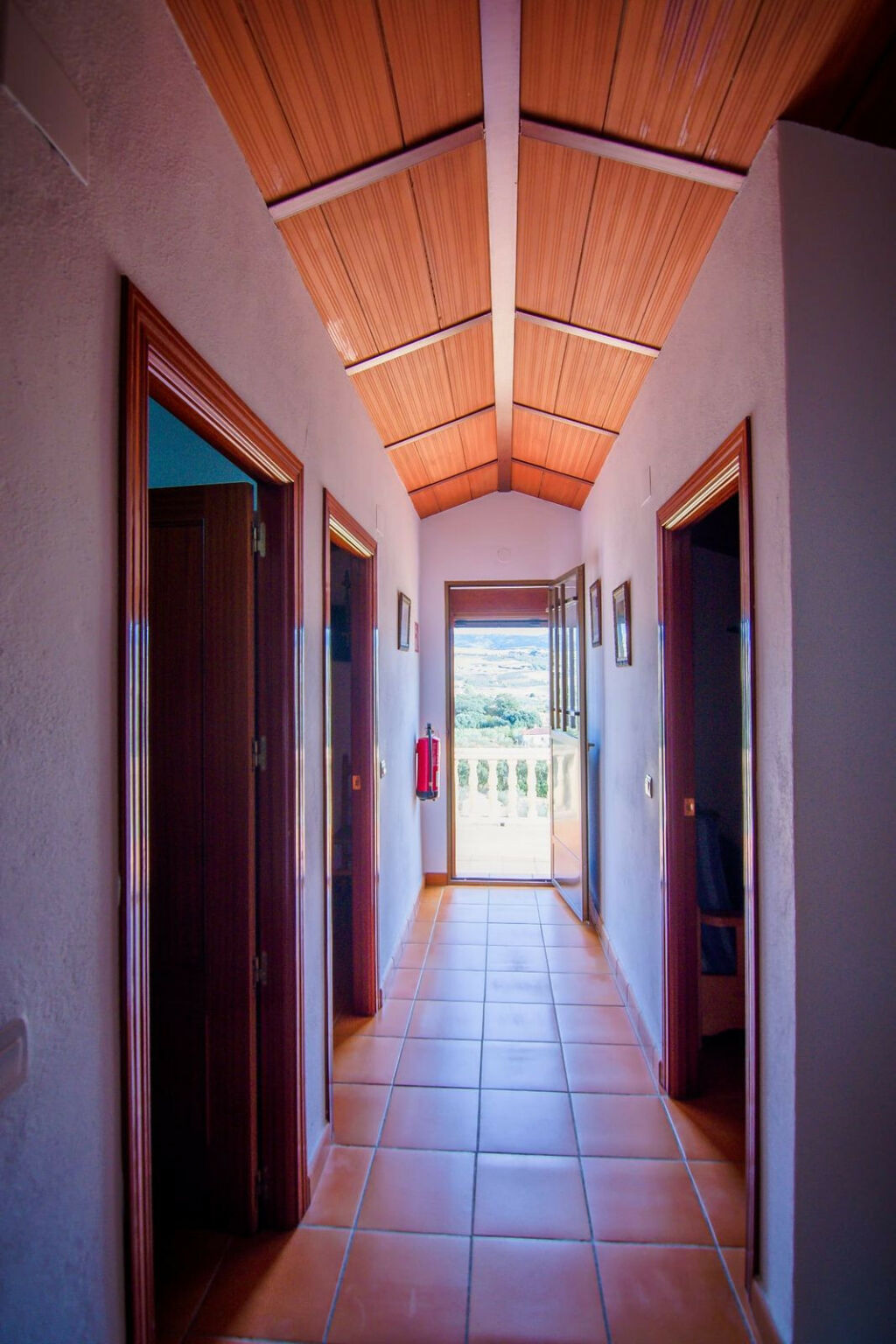 Detached Villa Ronda Málaga - image 43