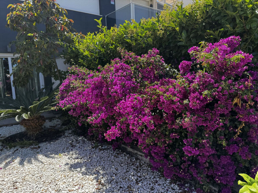 Ground Floor Apartment Torrevieja Alicante - image 44