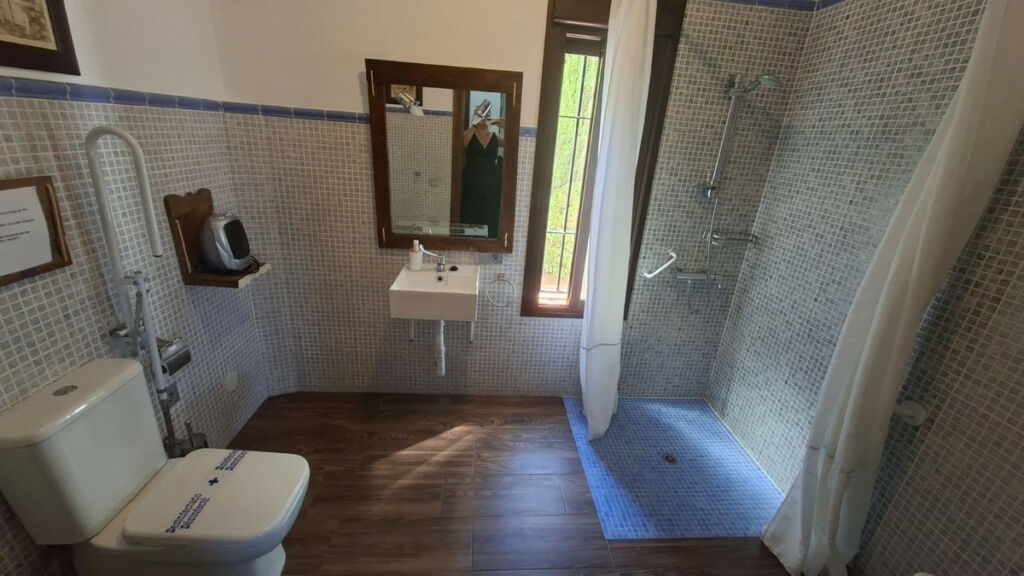 Detached Villa Arriate Málaga - image 44