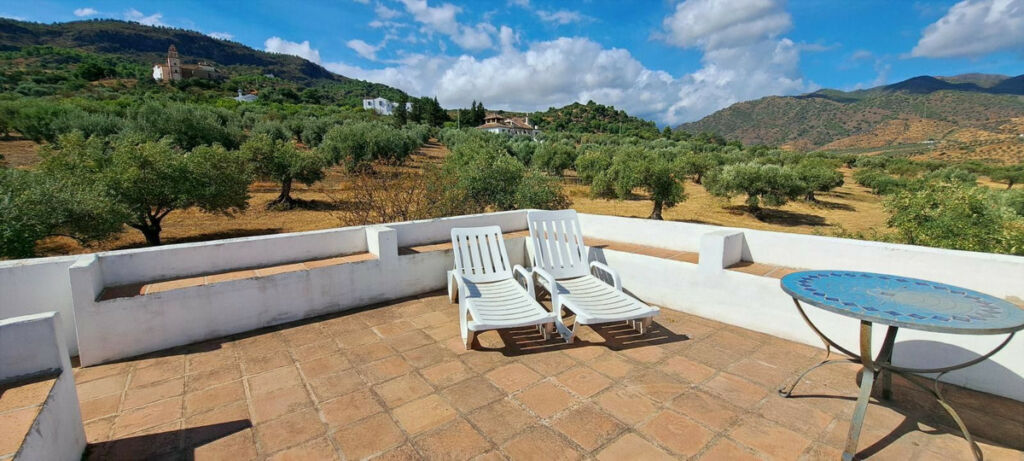 Finca - Cortijo Alora Málaga - image 44