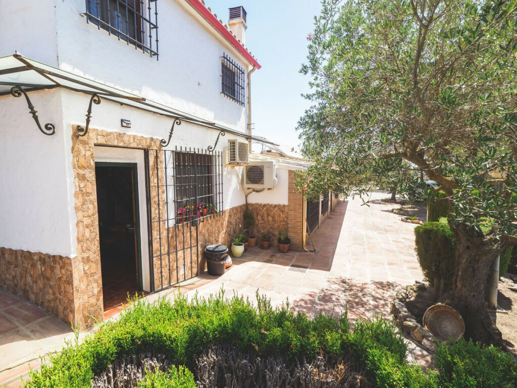 Guest House Alora Málaga - image 44