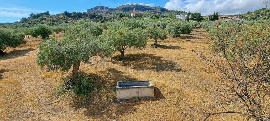Finca - Cortijo Alora Málaga - image 45