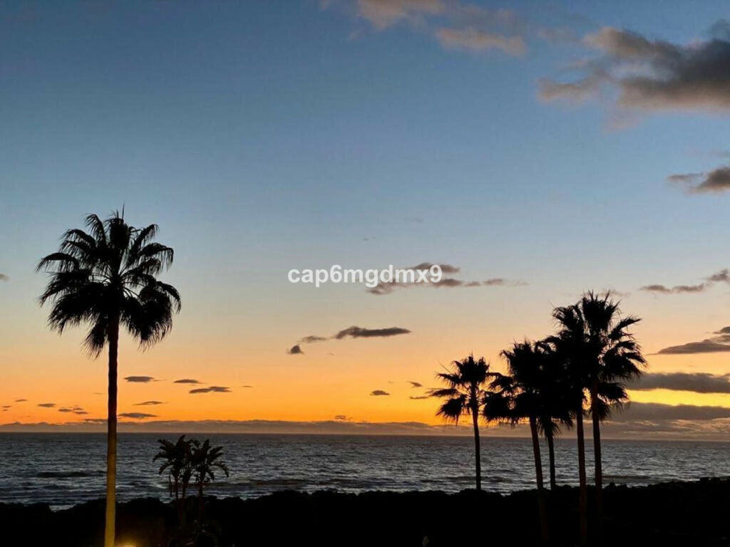 Semi-Detached House Bahía de Marbella Málaga - image 45