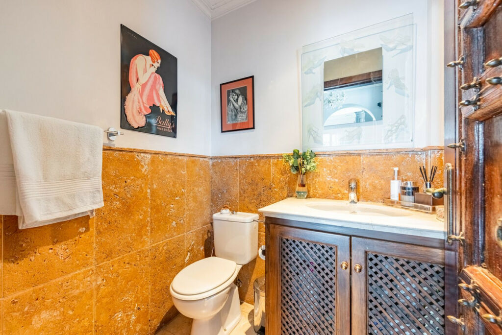 Detached Villa Istán Málaga - image 12