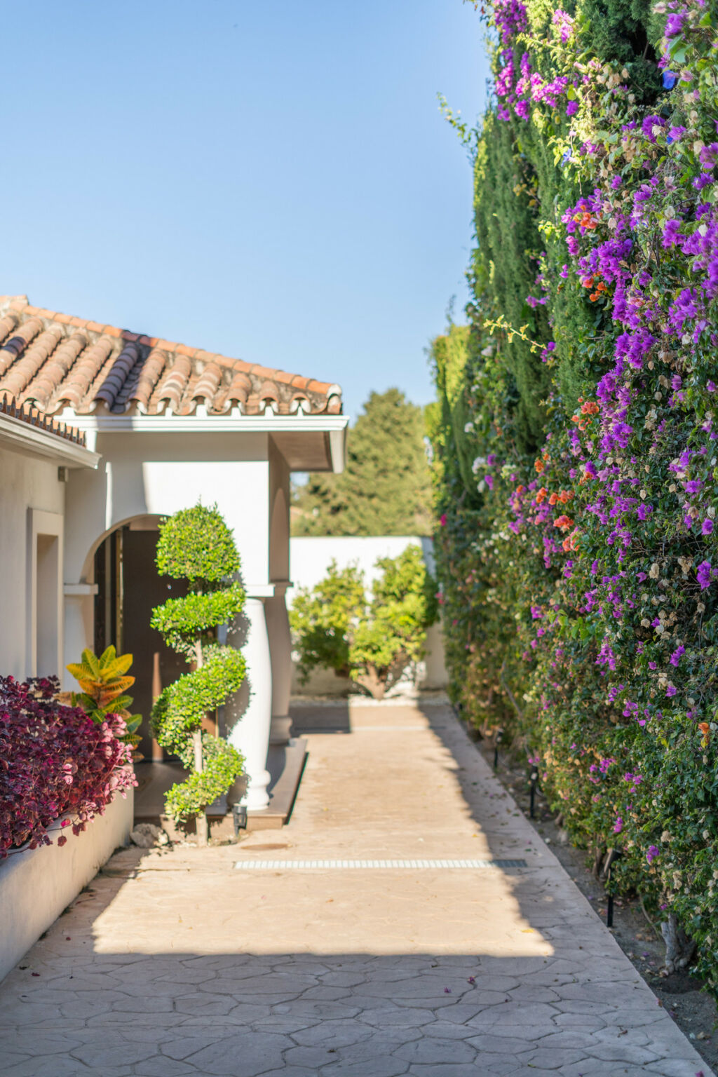 Detached Villa Marbella Málaga - image 46