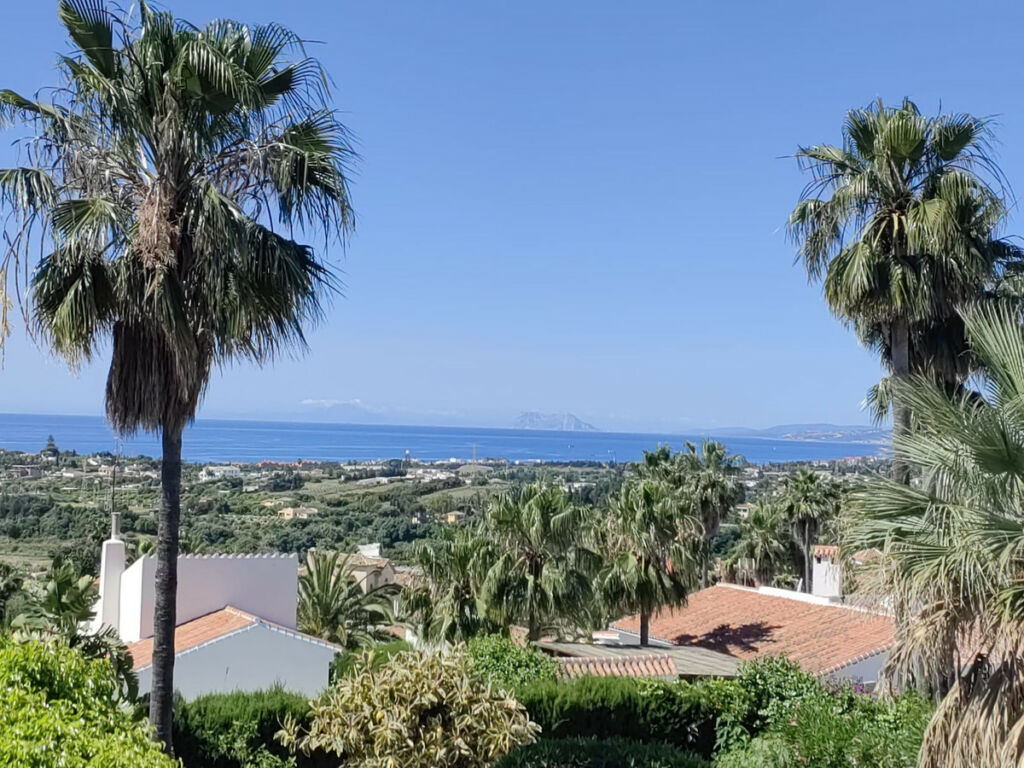 Detached Villa Estepona Málaga - image 48