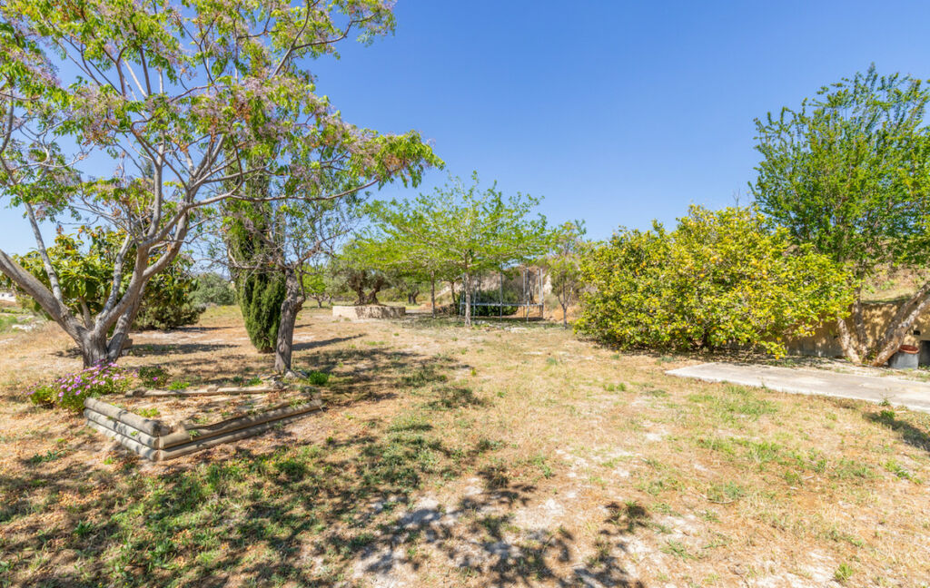 Finca - Cortijo Teulada Alicante - image 48