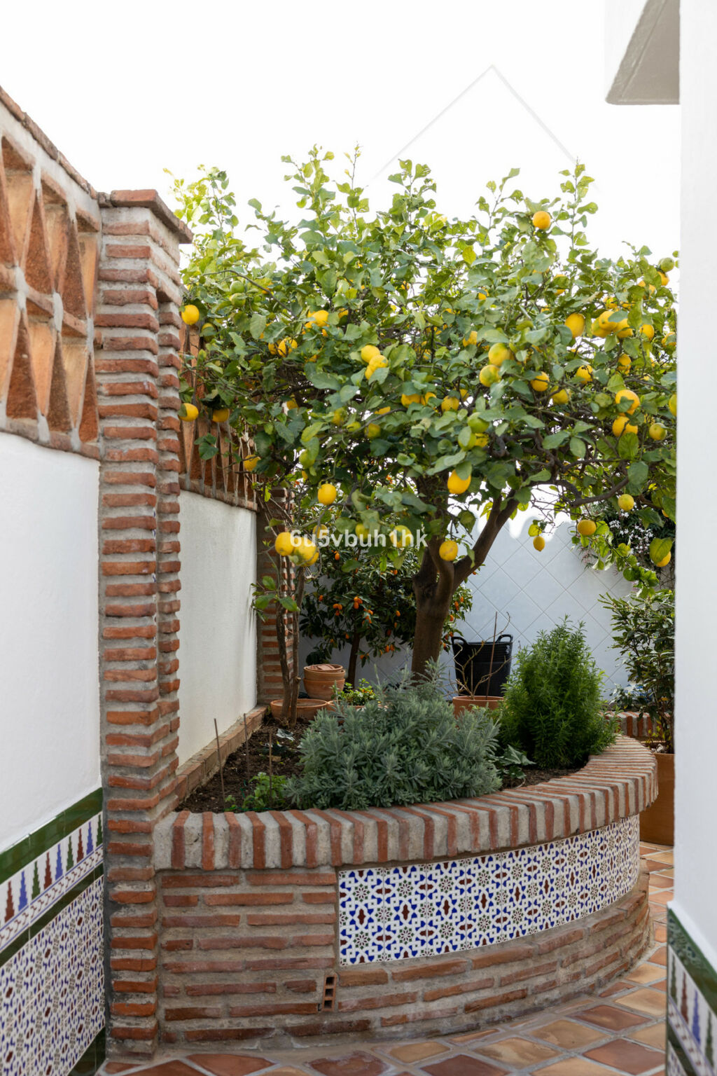 Detached Villa Mijas Málaga - image 49