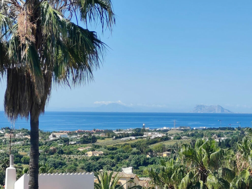 Detached Villa Estepona Málaga - image 49
