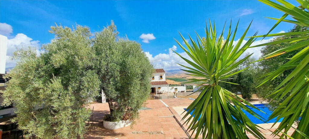 Finca - Cortijo Alora Málaga - image 49