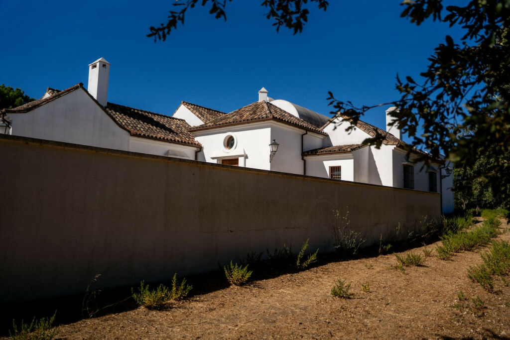 Detached Villa Gaucín Málaga - image 48