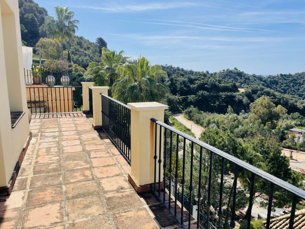 Detached Villa Istán Málaga - image 5
