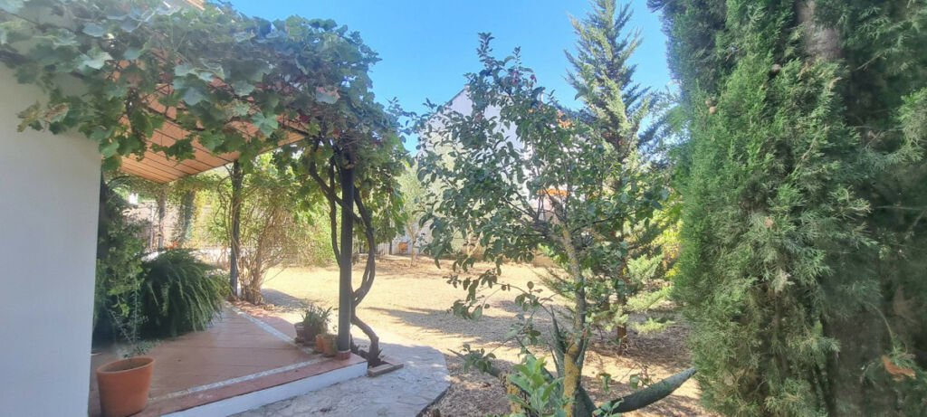 Detached Villa Cortes de la Frontera Málaga - image 5