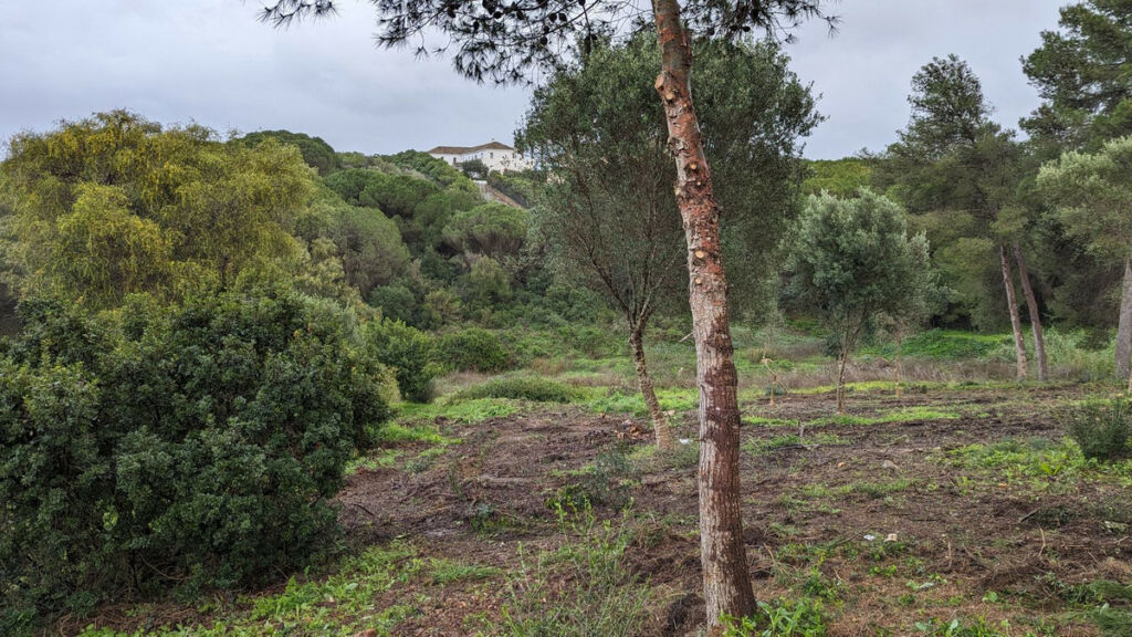 Residential Plot Sotogrande Cádiz - image 5