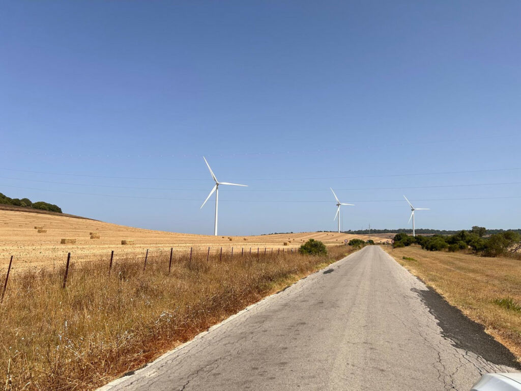 Land Vejer de la Frontera Cádiz - image 3