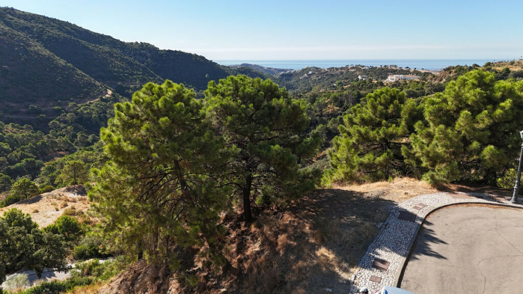 Residential Plot Benahavís Málaga - image 5