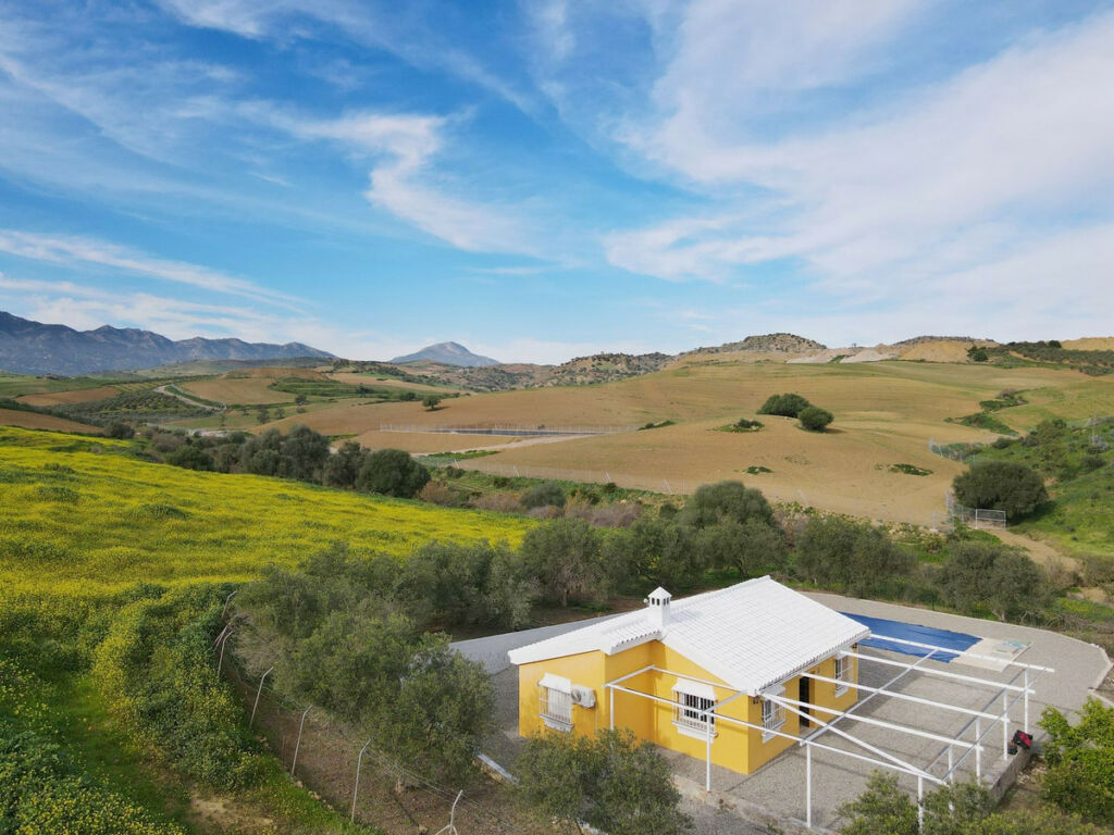 Finca - Cortijo Coín Málaga - image 5