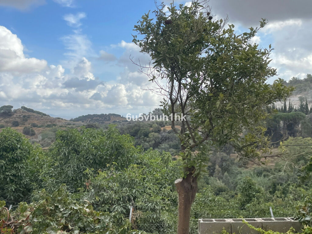 Finca - Cortijo Coín Málaga - image 5