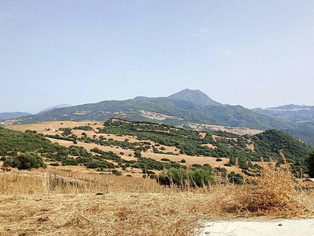 Farm Gaucín Málaga - image 4