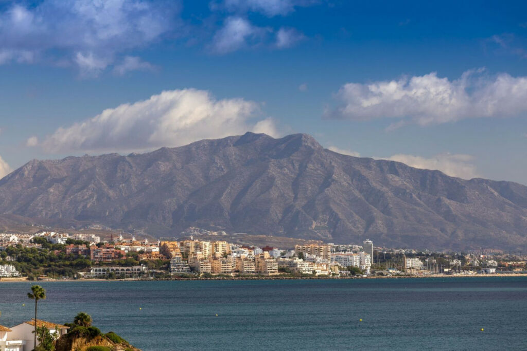 Ground Floor Apartment Estepona Málaga - image 50