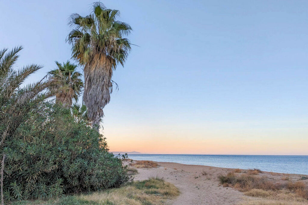 Detached Villa Denia Alicante - image 50