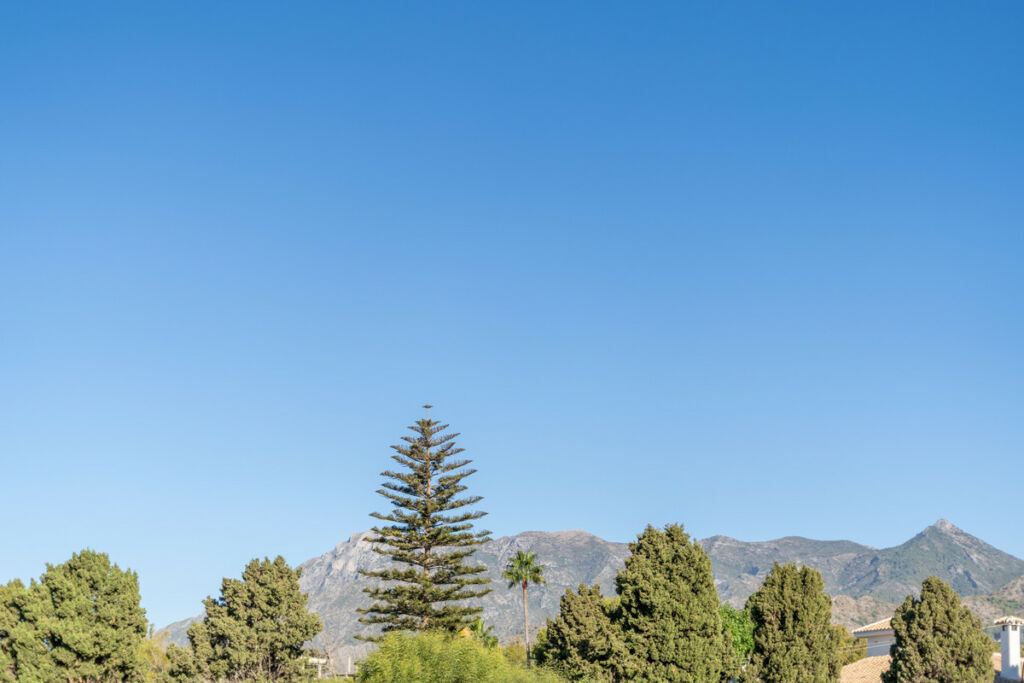 Detached Villa Marbella Málaga - image 51