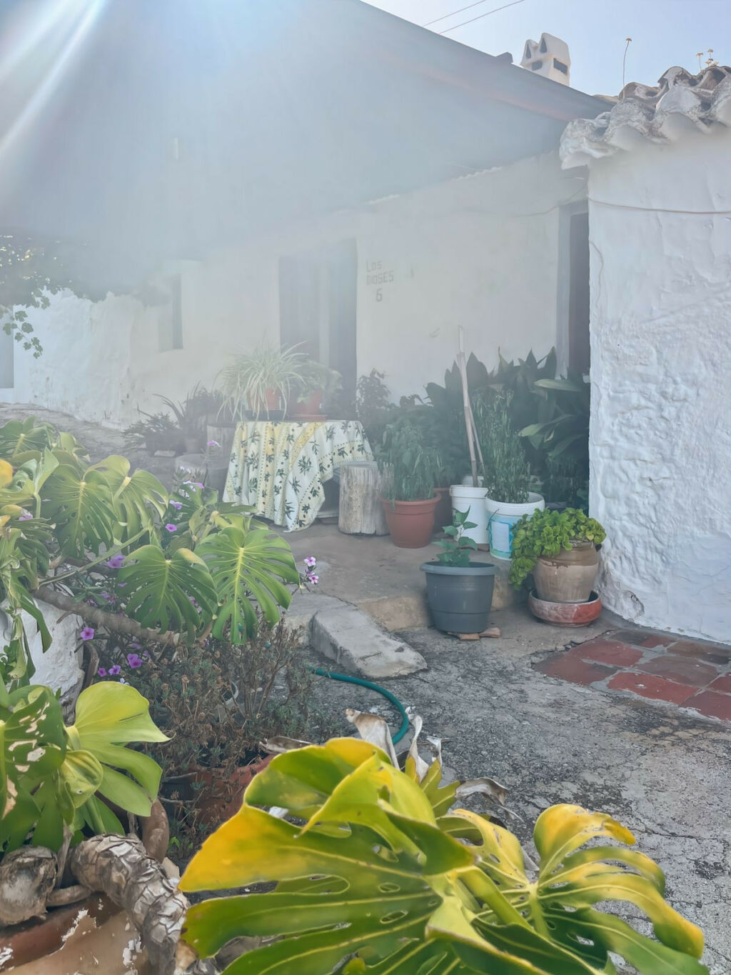 Finca - Cortijo Comares Málaga - image 52