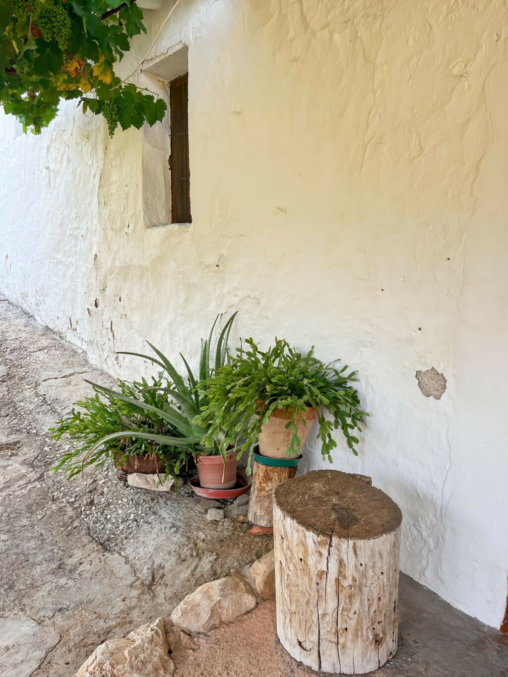 Finca - Cortijo Comares Málaga - image 53