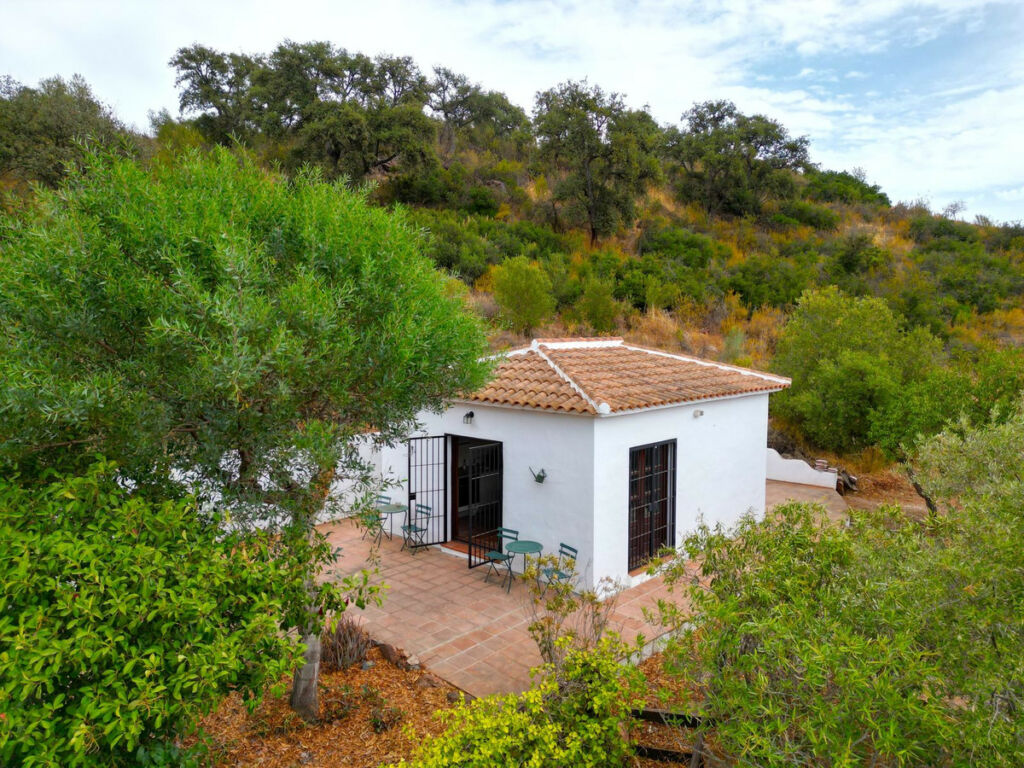 Detached Villa Almogía Málaga - image 56