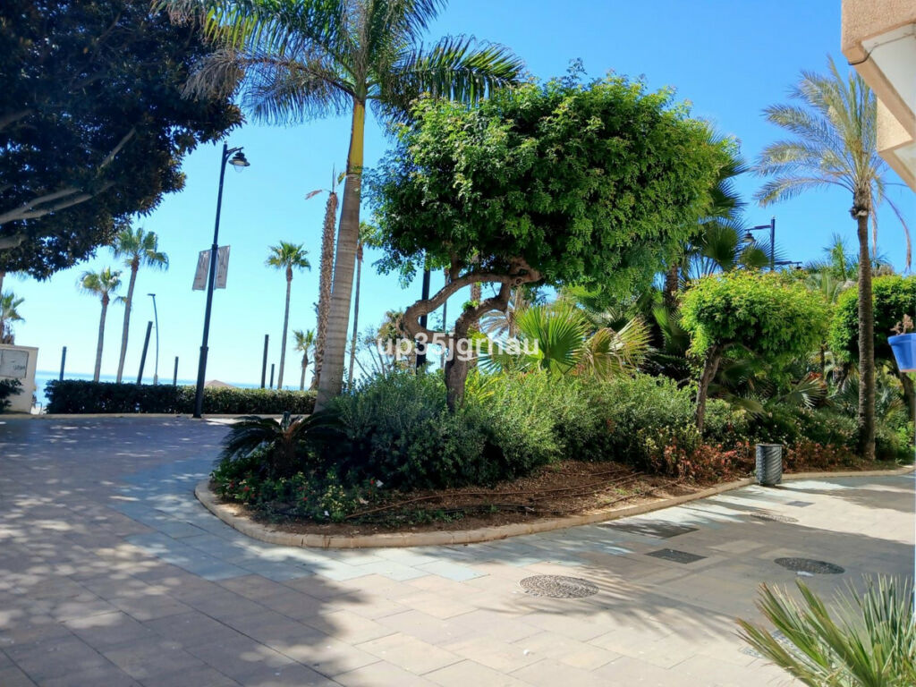 Detached Villa Estepona Málaga - image 6