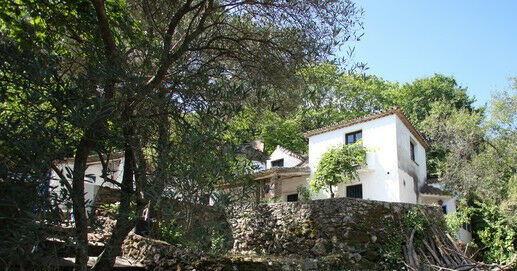 Finca - Cortijo Casares Málaga - image 6