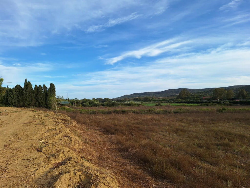 Finca - Cortijo San Martín de Tesorillo Cádiz - image 6
