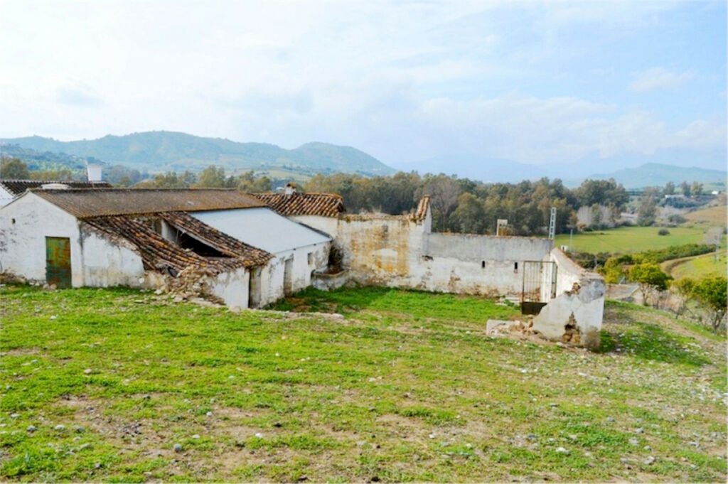 Farm Coín Málaga - image 6