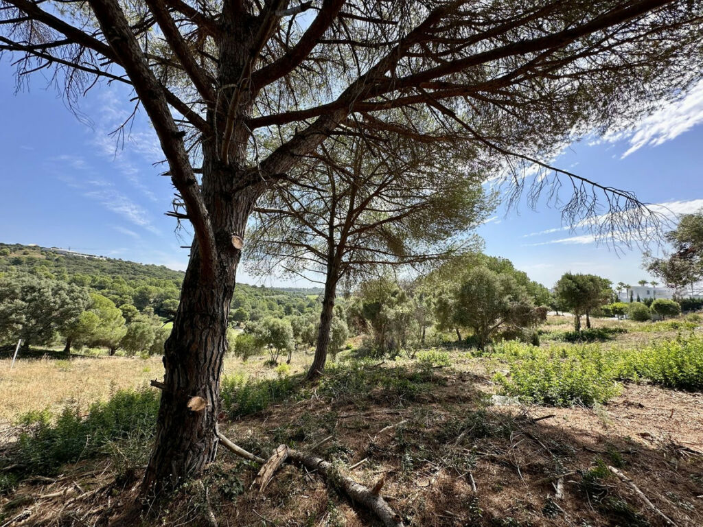 Land Sotogrande Cádiz - image 6