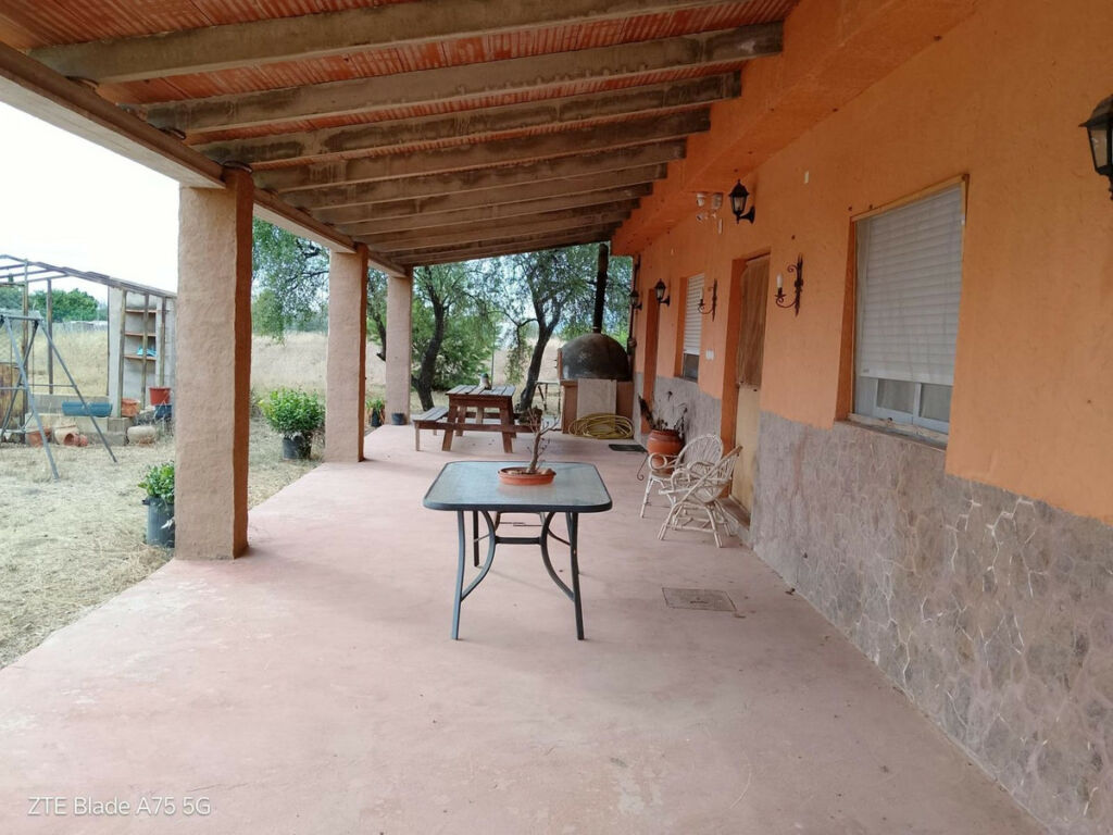 Finca - Cortijo La Magdalena Murcia - image 6