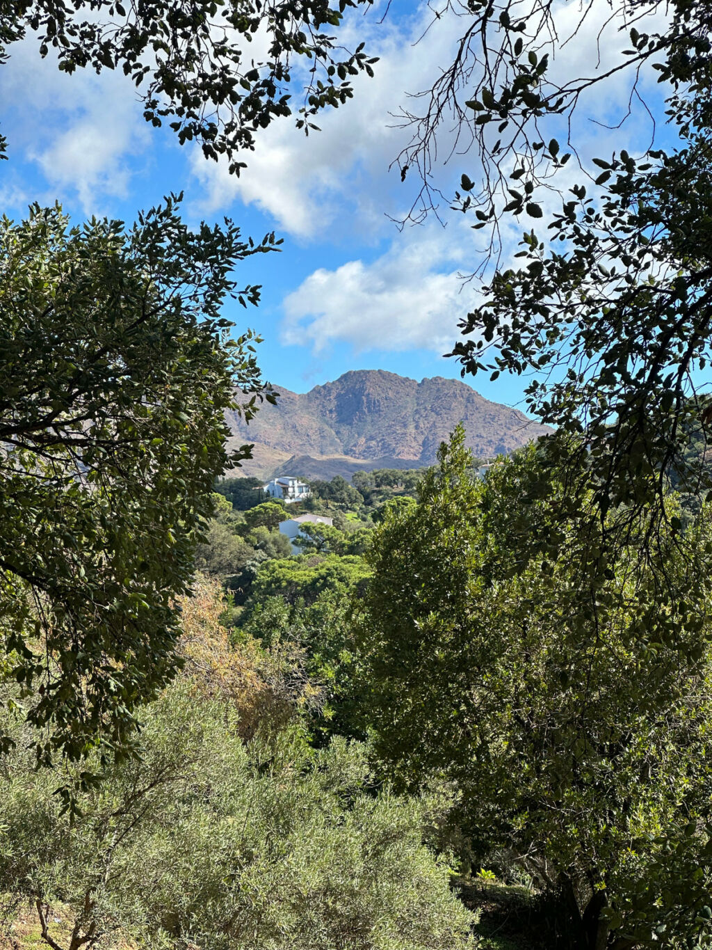 Land Casares Málaga - image 6