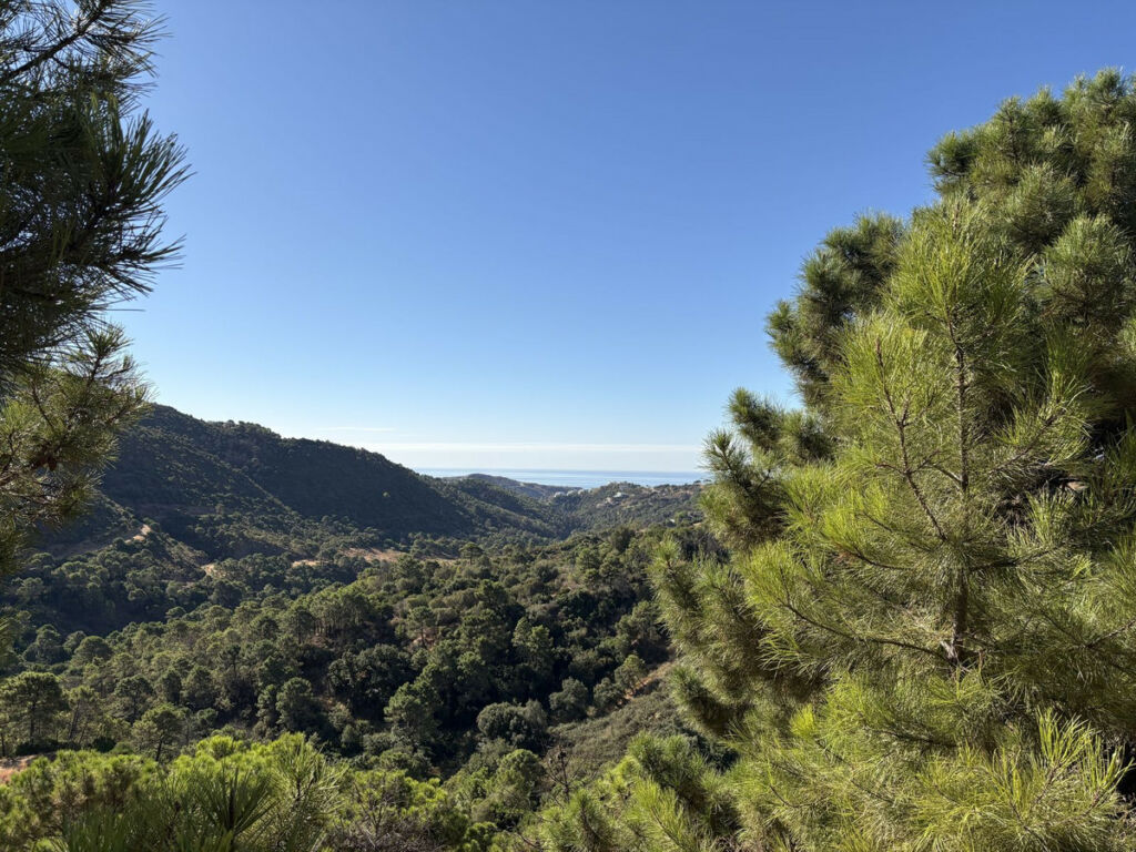Residential Plot Benahavís Málaga - image 6