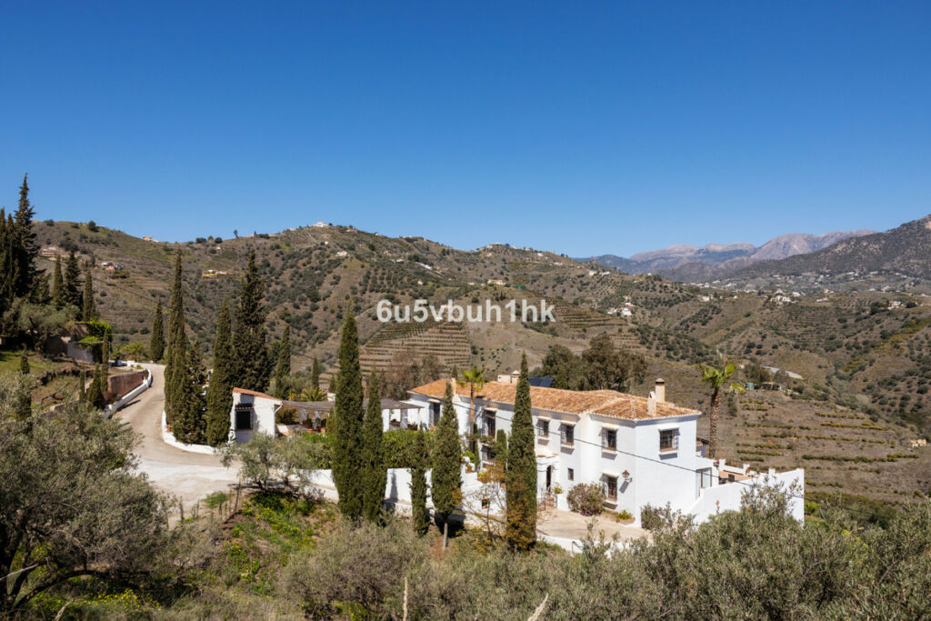 Detached Villa Torrox Málaga - image 6