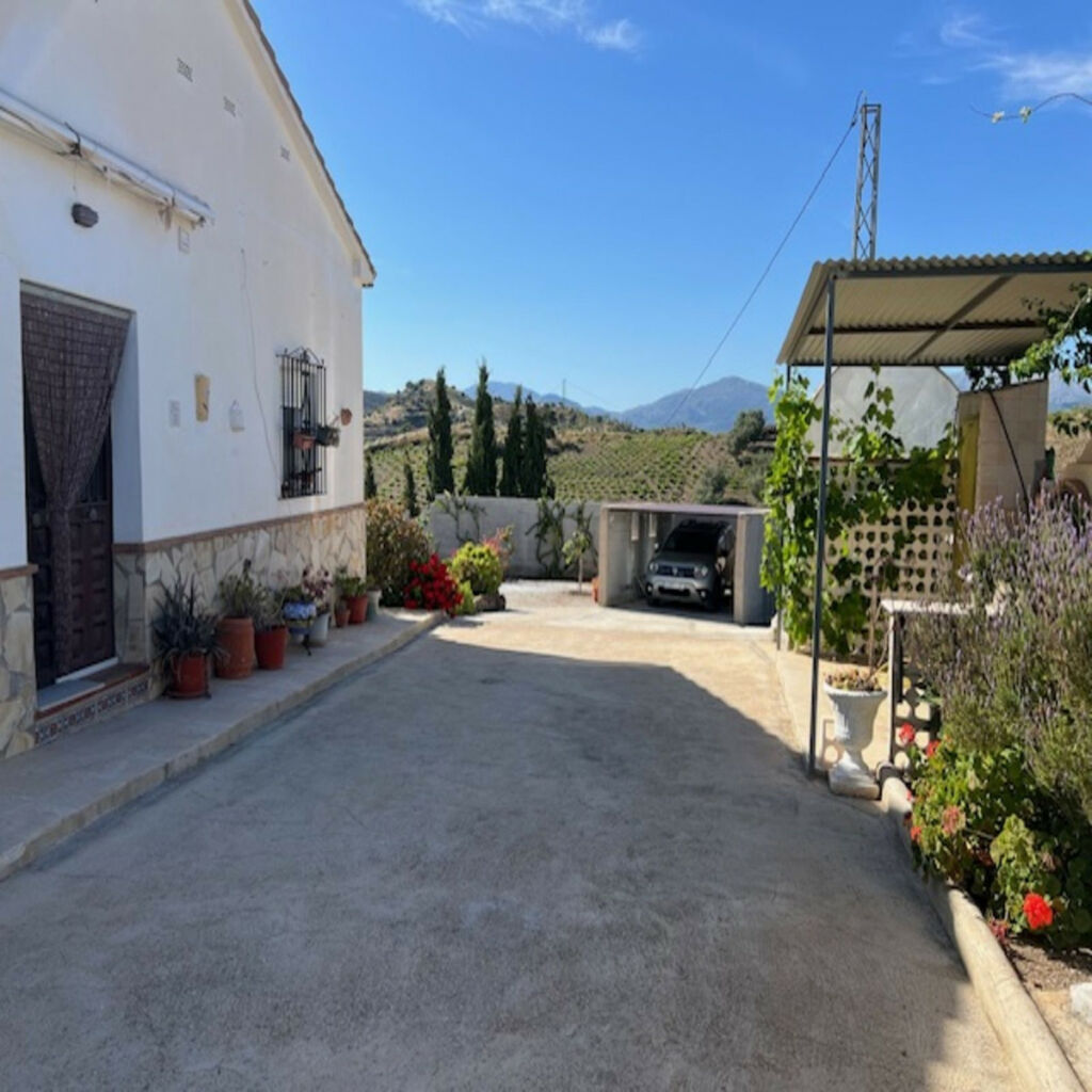 Finca - Cortijo Viñuela Málaga - image 6