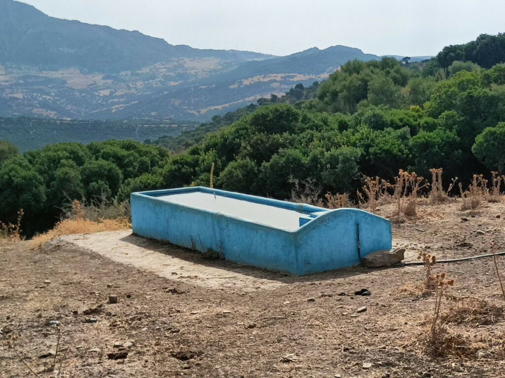 Farm Gaucín Málaga - image 5