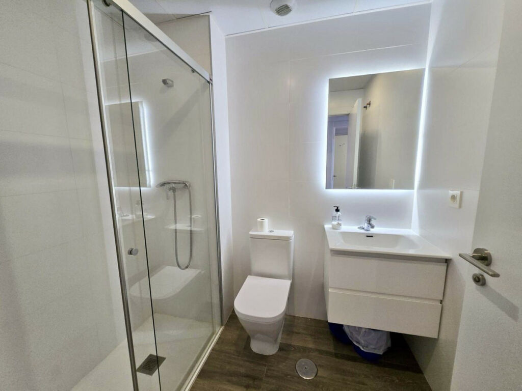 Middle Floor Apartment La Campana Málaga - image 6