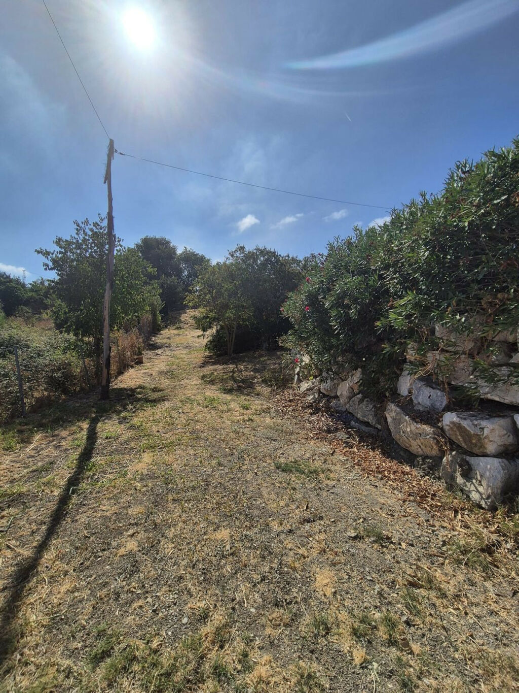 Detached Villa Coín Málaga - image 59